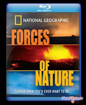 National Geographic:  :   (2004)